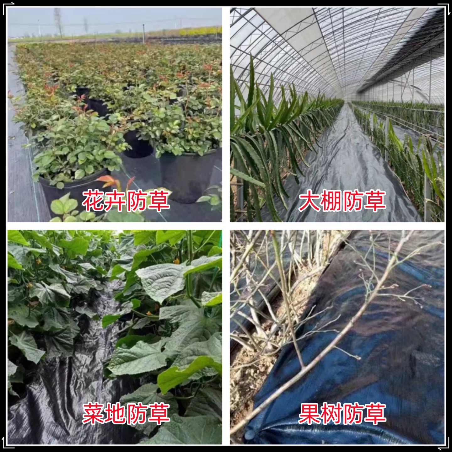 昭通市果树反光膜防草布 - 一站式服务