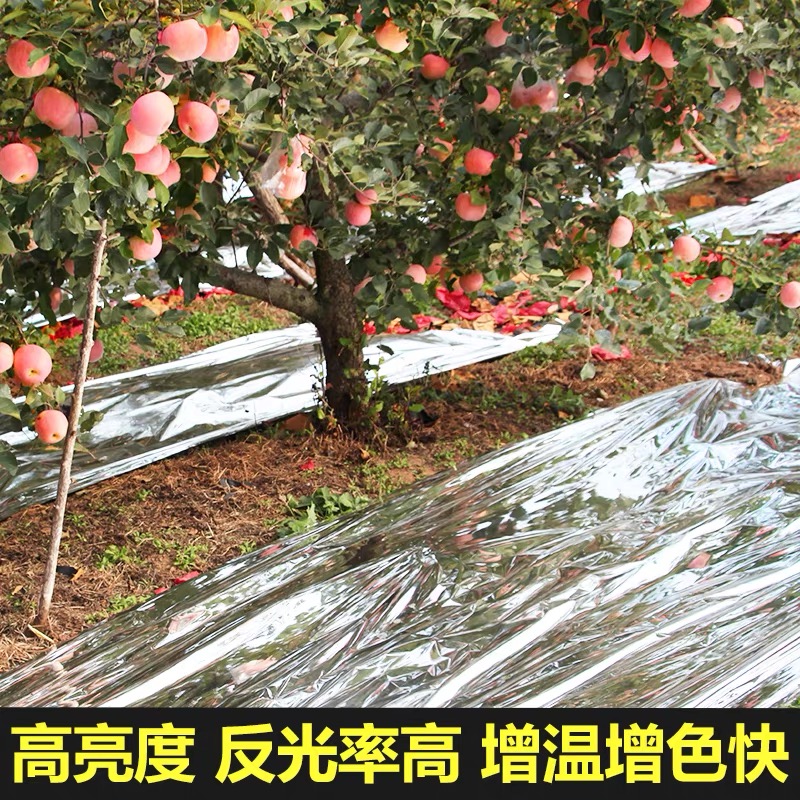 昭通市农用薄膜果树反光膜 - 方案